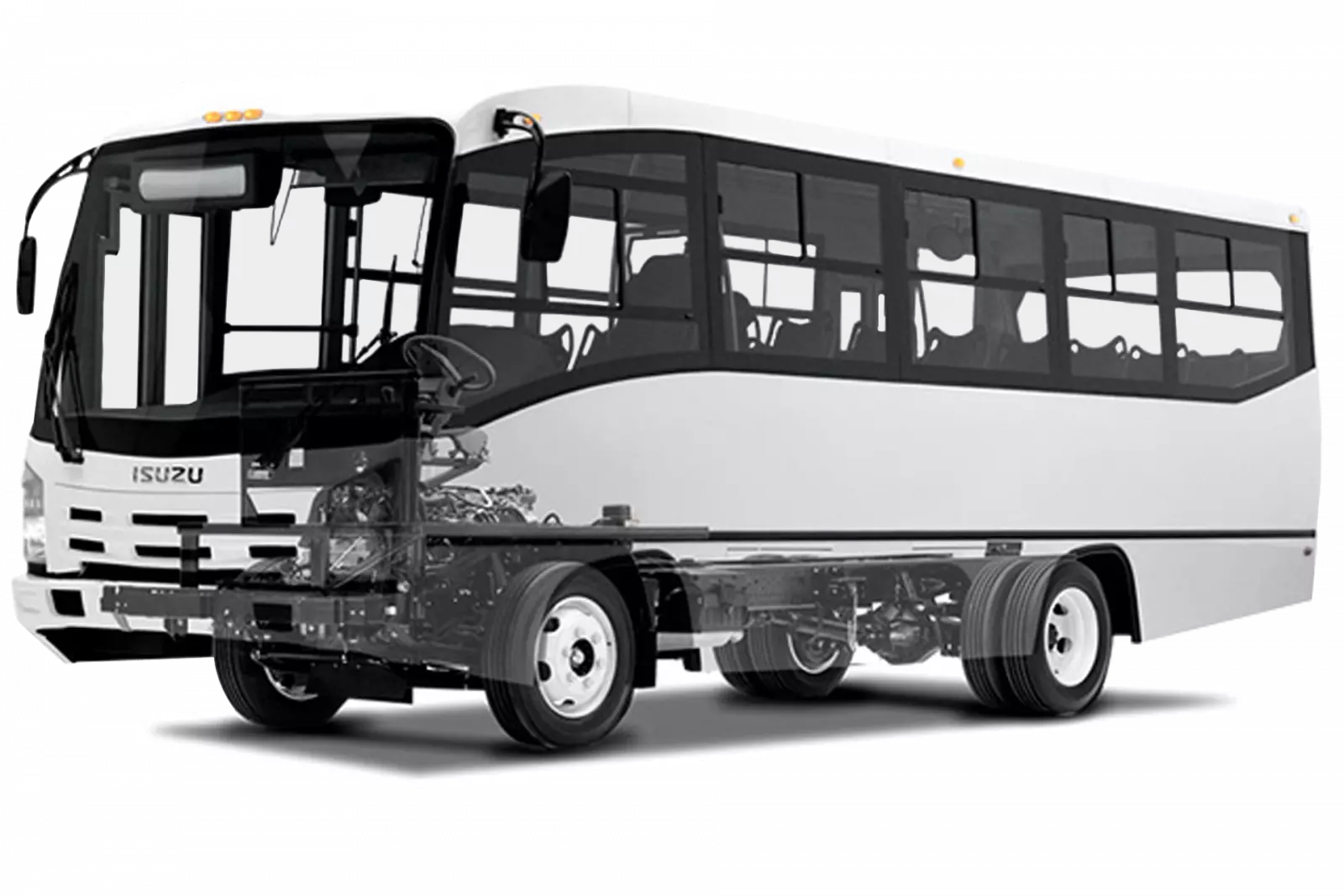 Isuzu NPR BUS